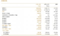 【增加】华虹公司2024年营收14388亿元逻辑…